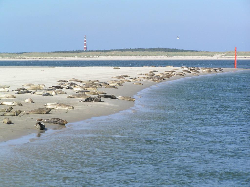 Хостел Sier Aan Zee Холлум Экстерьер фото